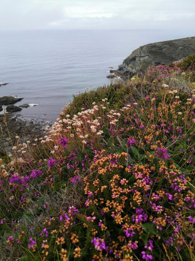 Captivating Isolde Cottage With Pool Near St Ives كامبورن المظهر الخارجي الصورة
